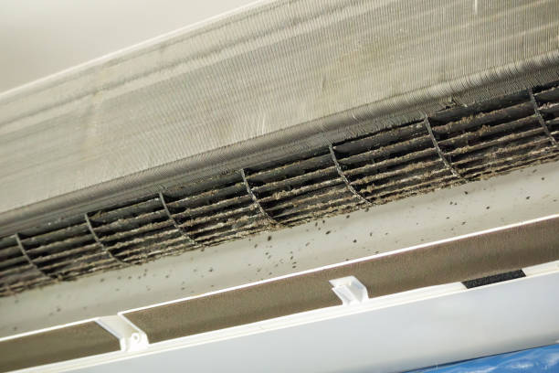 Best Professional Duct Cleaning Services  in Glen Rose, TX